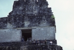 At Tikal