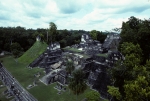 At Tikal