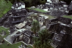 At Tikal