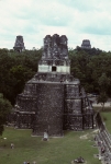 At Tikal