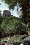 At Tikal