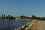 On the causeway