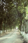 To and from Panajachel