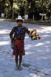 Vendor