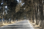 On the road to G.C. - end of trip