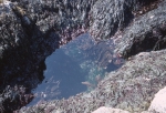 Nature Exploration