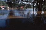 The flood