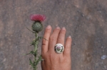 Thistle