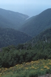 Cabot Trail - aound Cape Breton Island