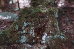 Fundy National Park