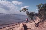 Garvey's Park
