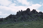 Devon moor