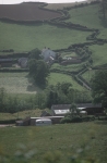 Hillside