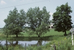 Trees