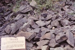 Au sable chasm