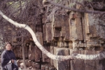 Au sable chasm