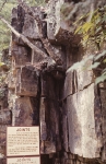 Au sable chasm