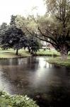 Park at Saratoga