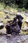 Petrified Garden cryptozoons