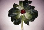 Cabbage flower