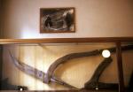 Nordic Museum