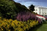 Royal Palace and grounds