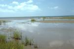 Outer Banks, NC - August 1974