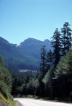 Road on Vancouver Island