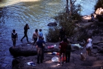 Swimmers
