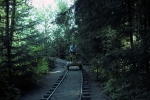 Cowichan Forest Museum
