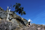 Climbing Mt. Finlayson