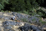 Climbing Mt. Finlayson