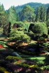 Butchart Gardens