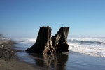 Westport - beach
