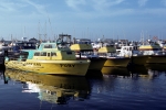 Westport