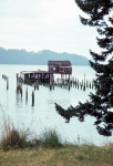 House on stilts