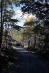 Shenandoah Mountain