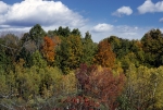Shenandoah Mountain