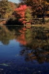 Pleasantville Campus, Pace Univ.