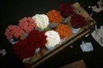 Flower market