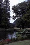 Kew Gardens